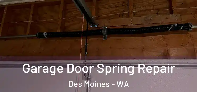  Garage Door Spring Repair Des Moines - WA