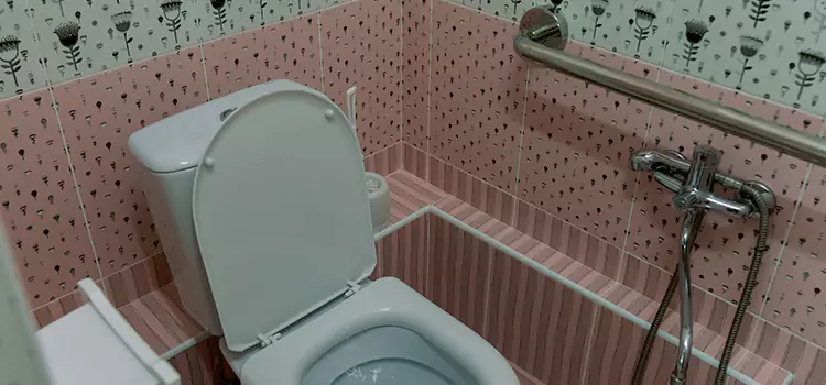 Meeting Diverse Needs With Accessible Restroom Solutions in Des Moines, WA