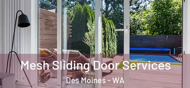 Mesh Sliding Door Services Des Moines - WA